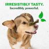 imageGreenies Large Dental Dog Treats 3Flavor Variety Pack 3 12 oz Pouches 24 Total TreatsGingerbread