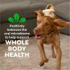 imageGreenies VeterinarianRecommended Adult Natural Dental Dog Treats Petite Size Original Flavor 18 oz Pack 30 Count