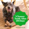 imageGreenies VeterinarianRecommended Adult Natural Dental Dog Treats Petite Size Original Flavor 18 oz Pack 30 Count