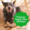 imageGreenies VeterinarianRecommended Natural Dental Dog Treats Large Size Original Flavor 18 oz Pack 12 Count