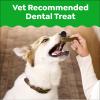 imageGreenies VeterinarianRecommended Natural Dental Dog Treats Large Size Original Flavor 18 oz Pack 12 Count